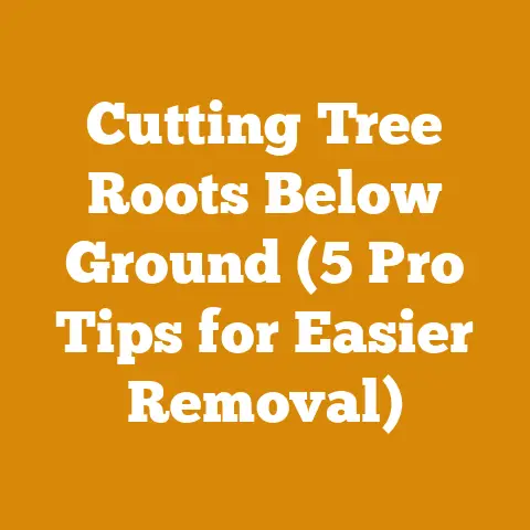 Cutting Tree Roots Below Ground (5 Pro Tips for Easier Removal)