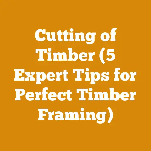 Cutting of Timber (5 Expert Tips for Perfect Timber Framing)