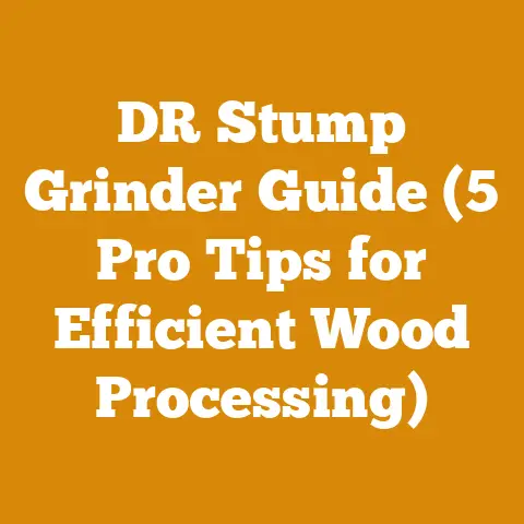 DR Stump Grinder Guide (5 Pro Tips for Efficient Wood Processing)
