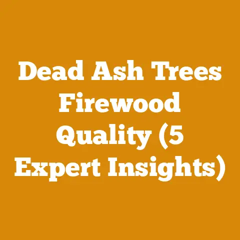 Dead Ash Trees Firewood Quality (5 Expert Insights)