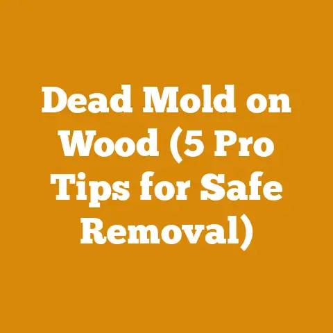 Dead Mold on Wood (5 Pro Tips for Safe Removal)