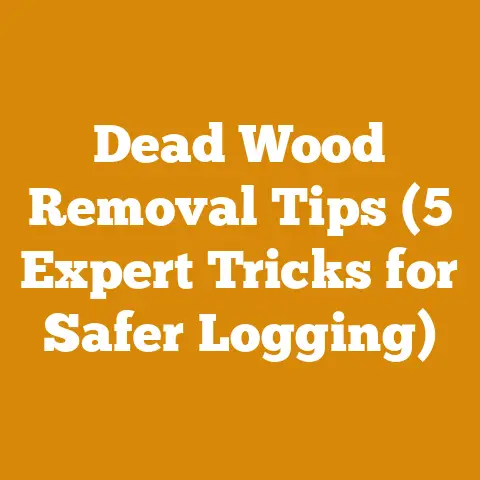 Dead Wood Removal Tips (5 Expert Tricks for Safer Logging)