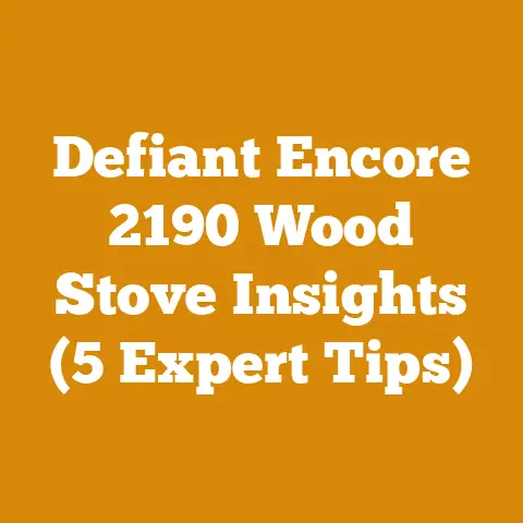 Defiant Encore 2190 Wood Stove Insights (5 Expert Tips)