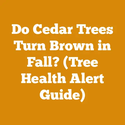 Do Cedar Trees Turn Brown in Fall? (Tree Health Alert Guide)
