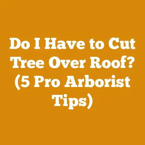 Do I Have to Cut Tree Over Roof? (5 Pro Arborist Tips)