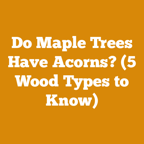 Do Maple Trees Have Acorns? (5 Wood Types to Know)