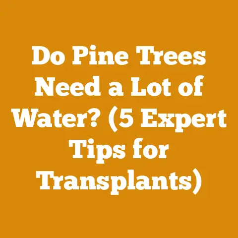 Do Pine Trees Need a Lot of Water? (5 Expert Tips for Transplants)