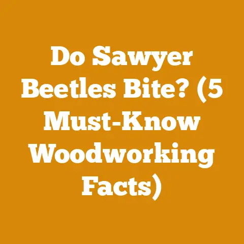 Do Sawyer Beetles Bite? (5 Must-Know Woodworking Facts)