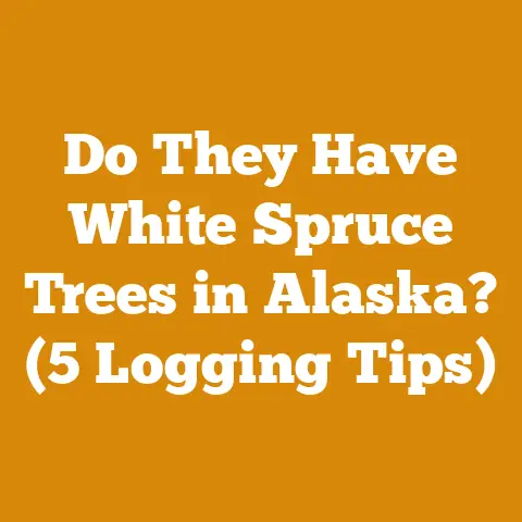 Do They Have White Spruce Trees in Alaska? (5 Logging Tips)
