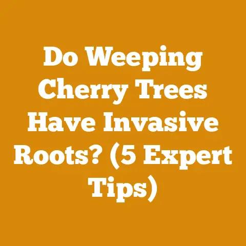 Do Weeping Cherry Trees Have Invasive Roots? (5 Expert Tips)