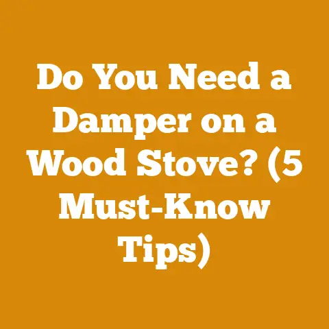 Do You Need a Damper on a Wood Stove? (5 Must-Know Tips)