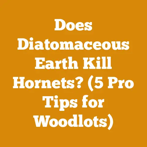 Does Diatomaceous Earth Kill Hornets? (5 Pro Tips for Woodlots)