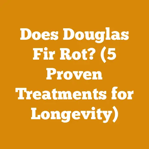 Does Douglas Fir Rot? (5 Proven Treatments for Longevity)