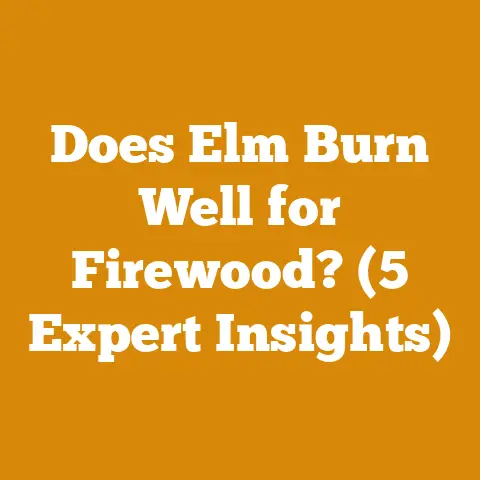 Does Elm Burn Well for Firewood? (5 Expert Insights)