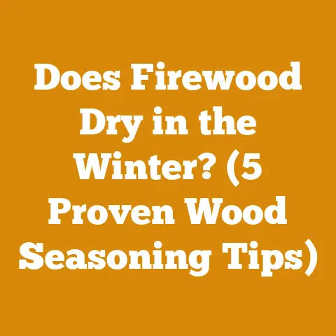 Does Firewood Dry in the Winter? (5 Proven Wood Seasoning Tips)