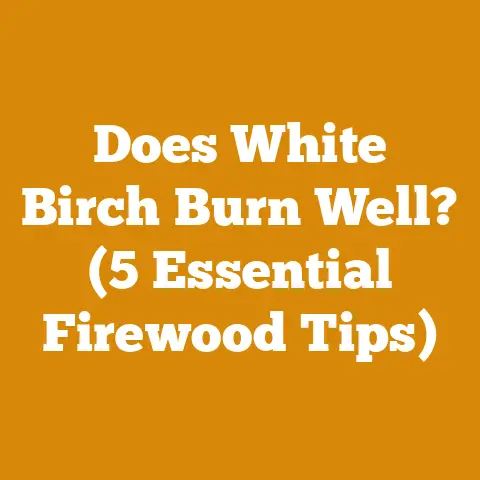 Does White Birch Burn Well? (5 Essential Firewood Tips)