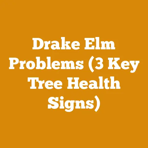 Drake Elm Problems (3 Key Tree Health Signs)
