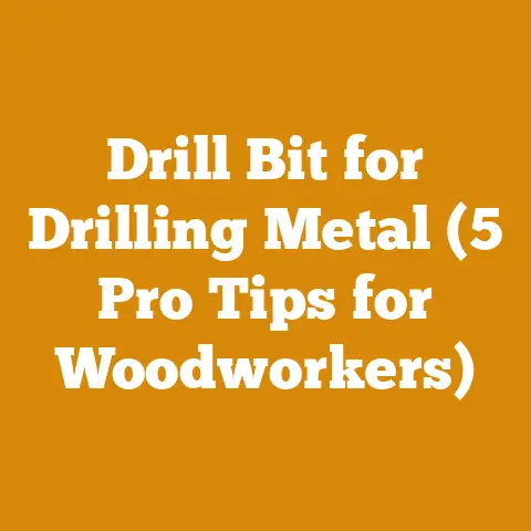 Drill Bit for Drilling Metal (5 Pro Tips for Woodworkers)
