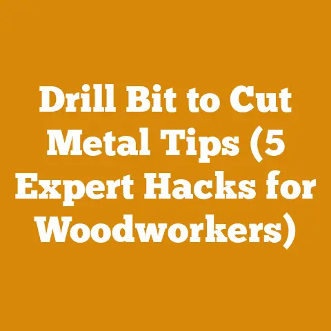 Drill Bit to Cut Metal Tips (5 Expert Hacks for Woodworkers)