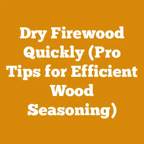 Dry Firewood Quickly (Pro Tips for Efficient Wood Seasoning)