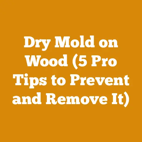 Dry Mold on Wood (5 Pro Tips to Prevent and Remove It)