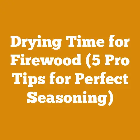 Drying Time for Firewood (5 Pro Tips for Perfect Seasoning)