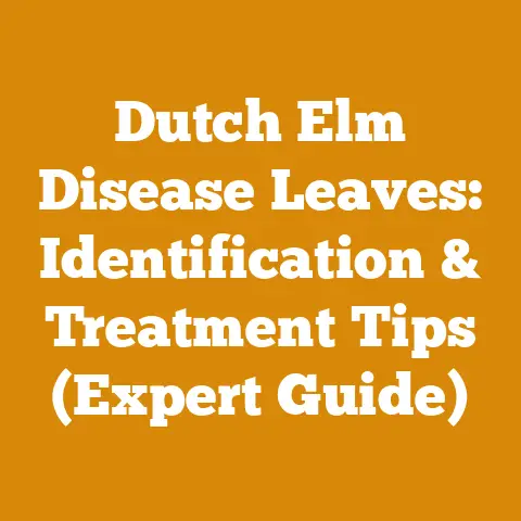 Dutch Elm Disease Leaves: Identification & Treatment Tips (Expert Guide)