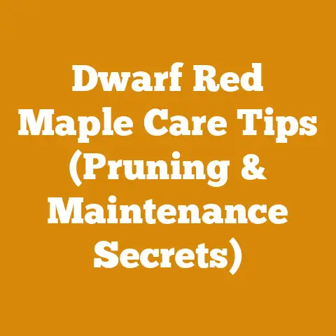 Dwarf Red Maple Care Tips (Pruning & Maintenance Secrets)