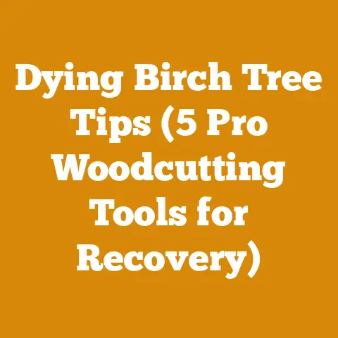 Dying Birch Tree Tips (5 Pro Woodcutting Tools for Recovery)
