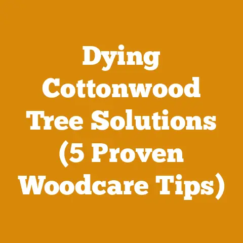Dying Cottonwood Tree Solutions (5 Proven Woodcare Tips)