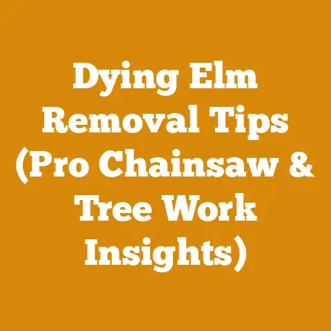 Dying Elm Removal Tips (Pro Chainsaw & Tree Work Insights)