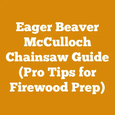 Eager Beaver McCulloch Chainsaw Guide (Pro Tips for Firewood Prep)