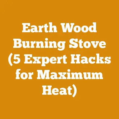Earth Wood Burning Stove (5 Expert Hacks for Maximum Heat)