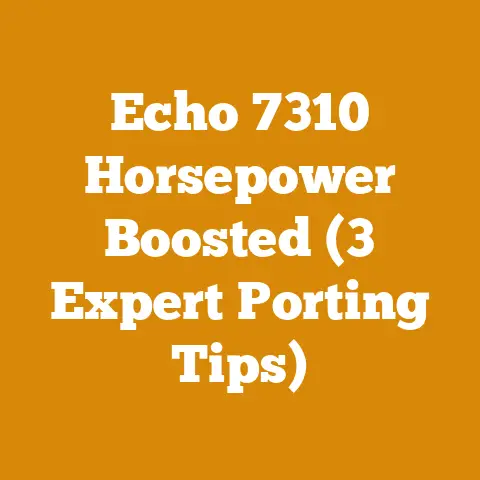 Echo 7310 Horsepower Boosted (3 Expert Porting Tips)
