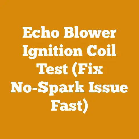 Echo Blower Ignition Coil Test (Fix No-Spark Issue Fast)