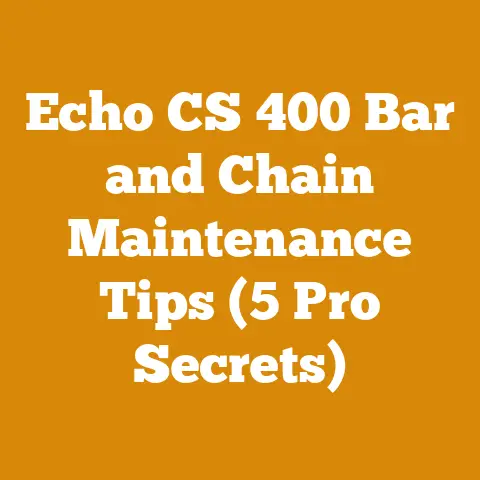 Echo CS 400 Bar and Chain Maintenance Tips (5 Pro Secrets)