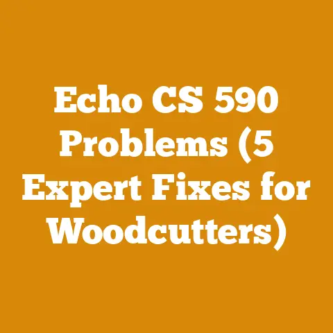 Echo CS 590 Problems (5 Expert Fixes for Woodcutters)