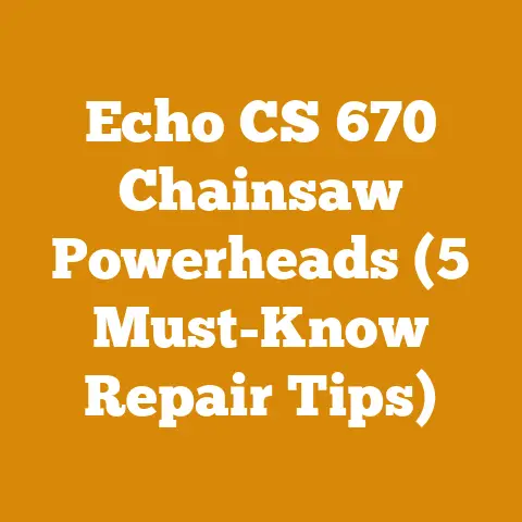 Echo CS 670 Chainsaw Powerheads (5 Must-Know Repair Tips)