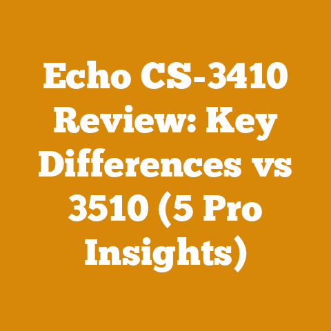 Echo CS-3410 Review: Key Differences vs 3510 (5 Pro Insights)
