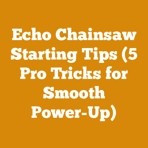 Echo Chainsaw Starting Tips (5 Pro Tricks for Smooth Power-Up)