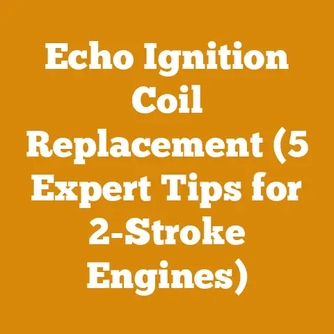 Echo Ignition Coil Replacement (5 Expert Tips for 2-Stroke Engines)