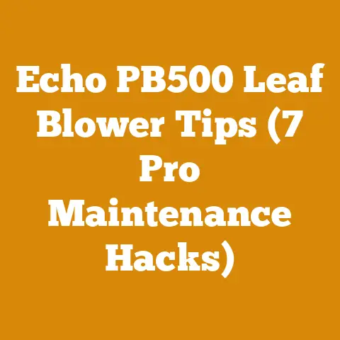 Echo PB500 Leaf Blower Tips (7 Pro Maintenance Hacks)