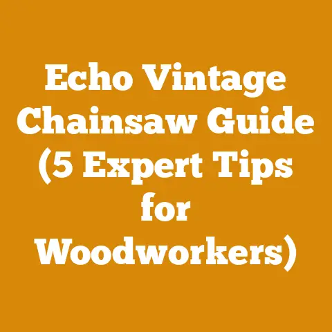 Echo Vintage Chainsaw Guide (5 Expert Tips for Woodworkers)