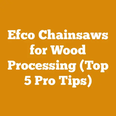 Efco Chainsaws for Wood Processing (Top 5 Pro Tips)