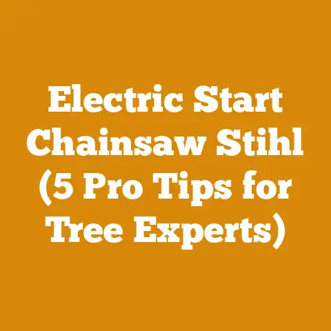 Electric Start Chainsaw Stihl (5 Pro Tips for Tree Experts)