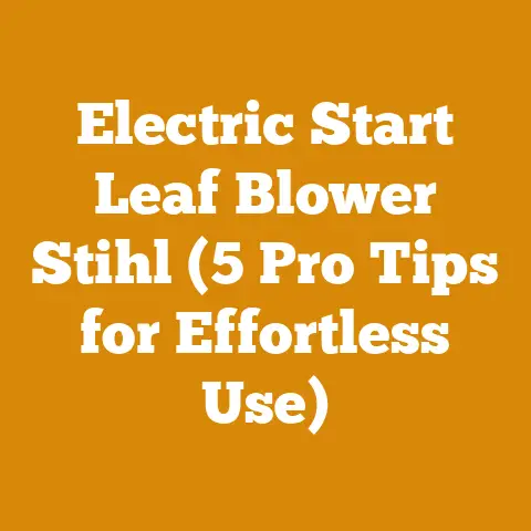 Electric Start Leaf Blower Stihl (5 Pro Tips for Effortless Use)