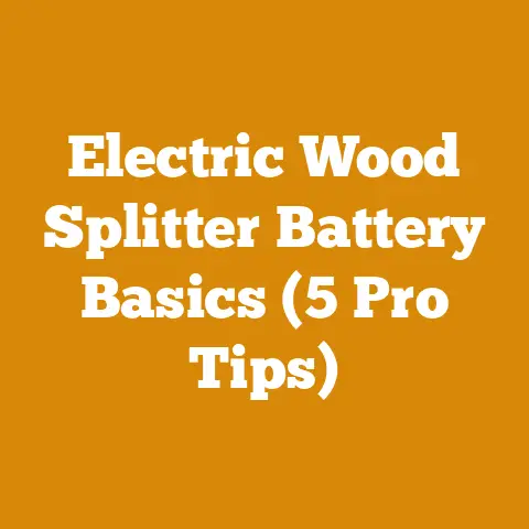 Electric Wood Splitter Battery Basics (5 Pro Tips)