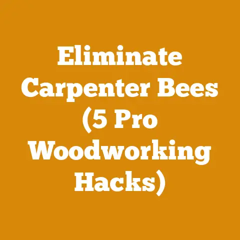 Eliminate Carpenter Bees (5 Pro Woodworking Hacks)