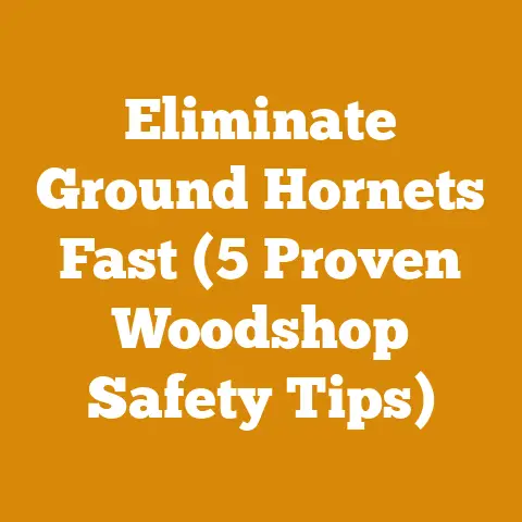 Eliminate Ground Hornets Fast (5 Proven Woodshop Safety Tips)