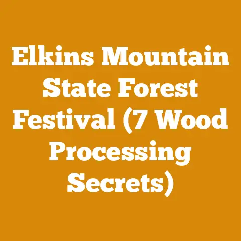 Elkins Mountain State Forest Festival (7 Wood Processing Secrets)